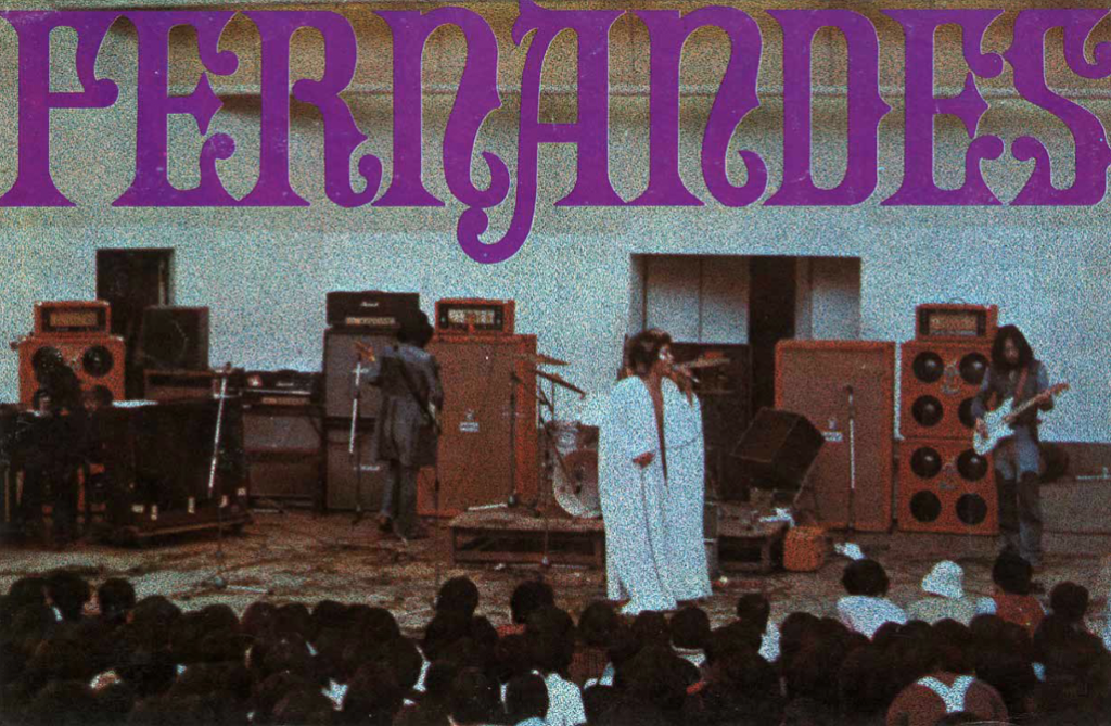Fernandes 1973 guitar catalog cover