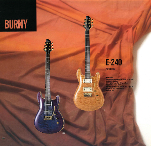 1993 Fernandes and Burny catalog page