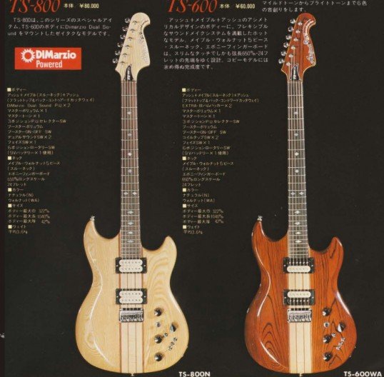 Aria Pro II TS-800 and TS-600 in the catalog