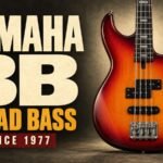 Yamaha BB Broad Bass since 1977